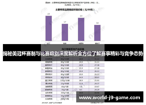 揭秘美冠杯赛制与比赛级别深度解析全方位了解赛事精彩与竞争态势