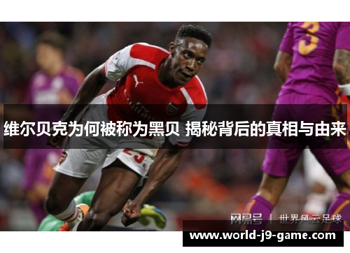 维尔贝克为何被称为黑贝 揭秘背后的真相与由来 维尔贝克为何被称为黑贝 揭秘背后的真相与由来