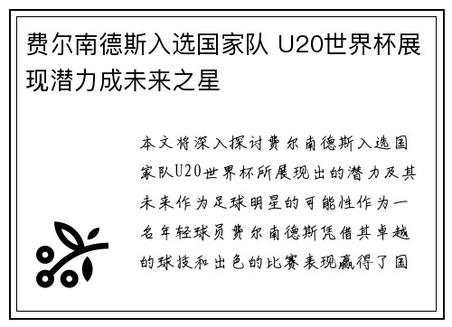 费尔南德斯入选国家队 U20世界杯展现潜力成未来之星
